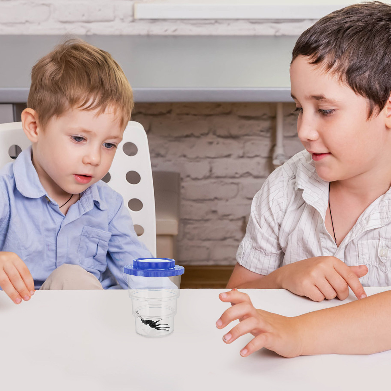 Science Toy - Üç Bölmeli Böcek Gözlem Kutusu, Ayarlanabilir