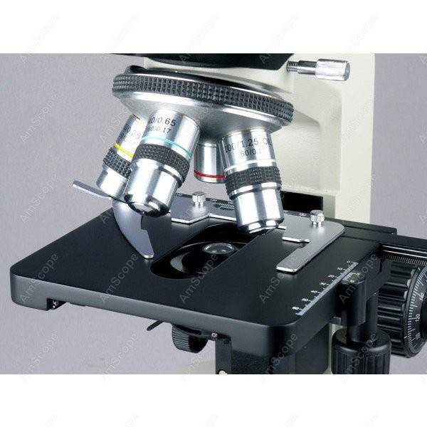 AmScope Biyolojik Binoküler Bi - Microscope Compound 40X incelemesi ve fiyatı