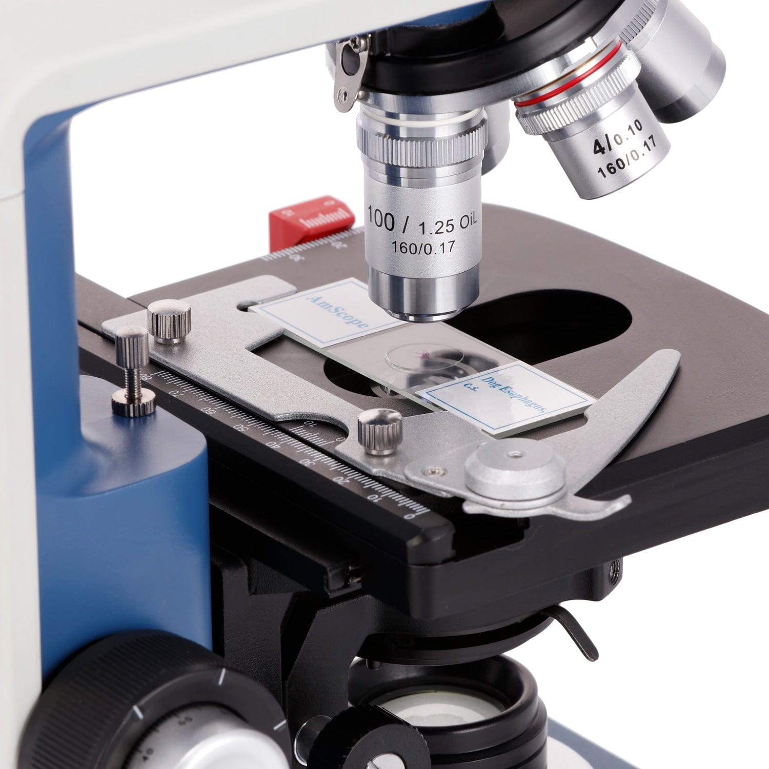 AmScope 40X-2500X Öğrenci Dürb - Microscope Compound 40X incelemesi ve fiyatı