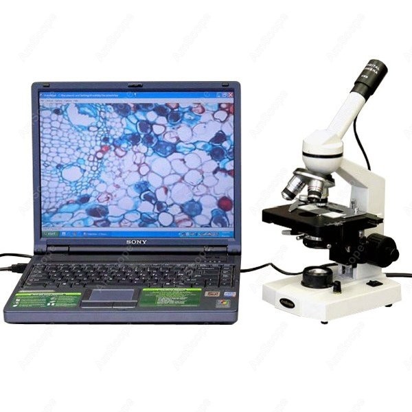 AmScope M600 Serisi Öğrenci Mo - Microscope Compound 40X incelemesi ve fiyatı