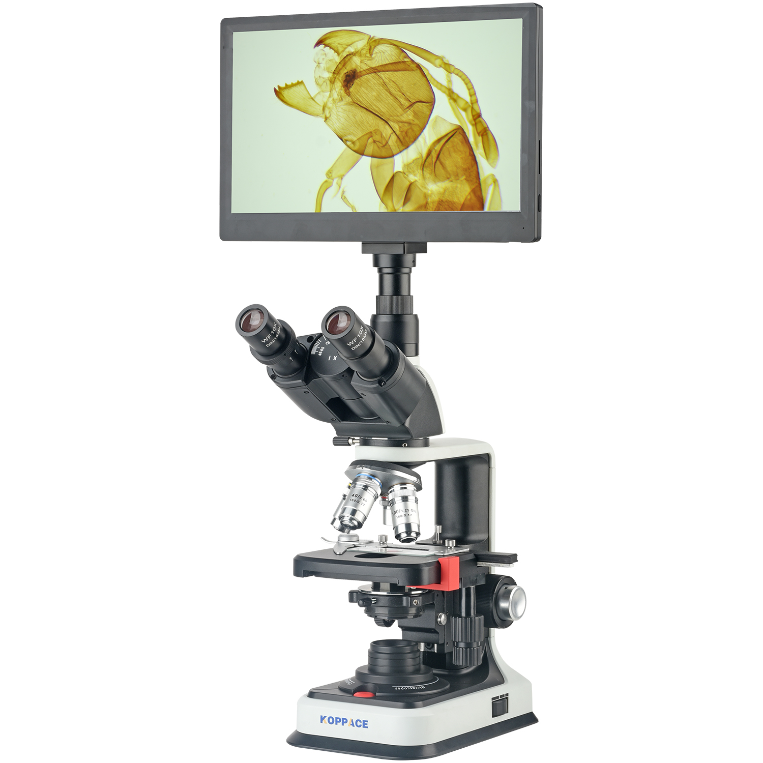 KOPPACE 40X-2500X Elektron Bil - Microscope Compound 40X incelemesi ve fiyatı