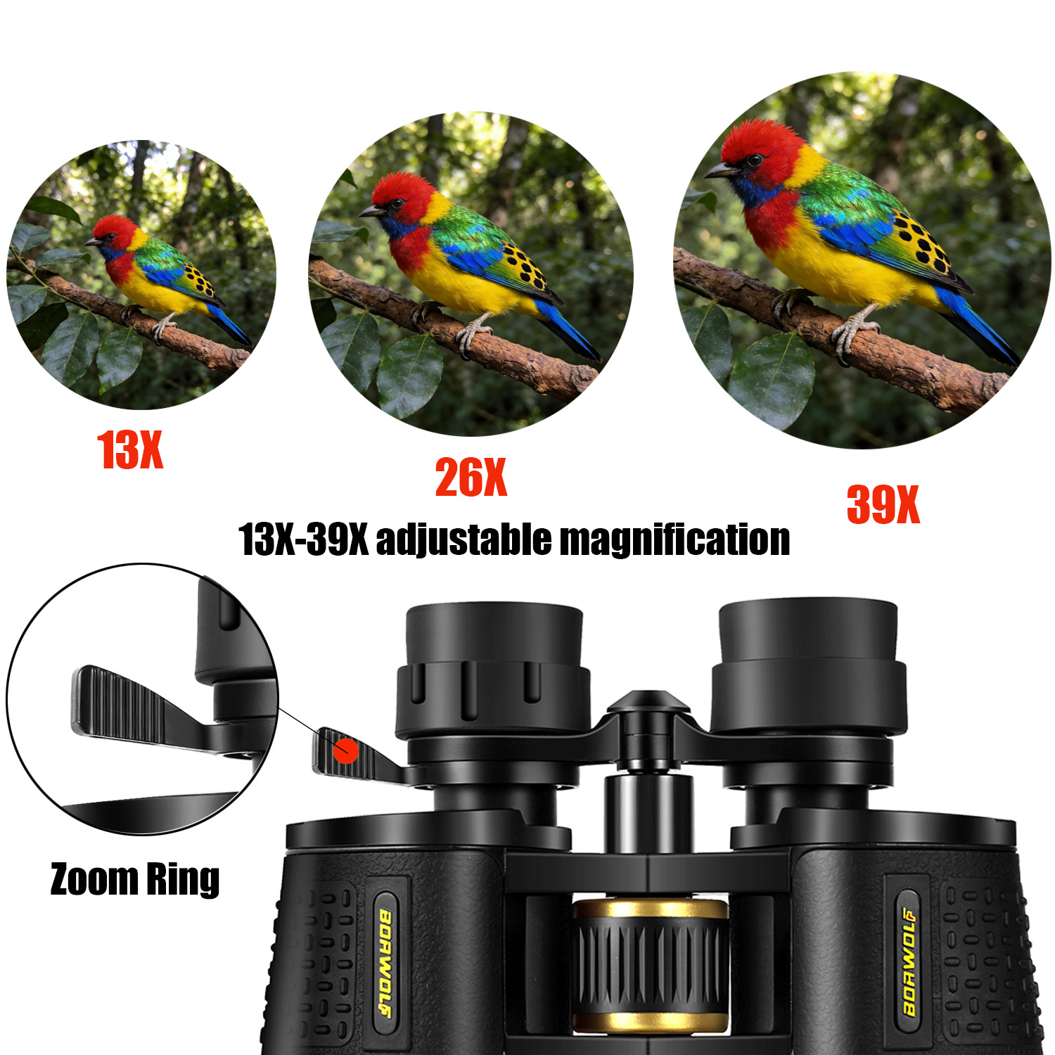 BORWOLF 13-39X70 ED Yüksek Büy - National Geographic Telescope 70Mm incelemesi ve fiyatı