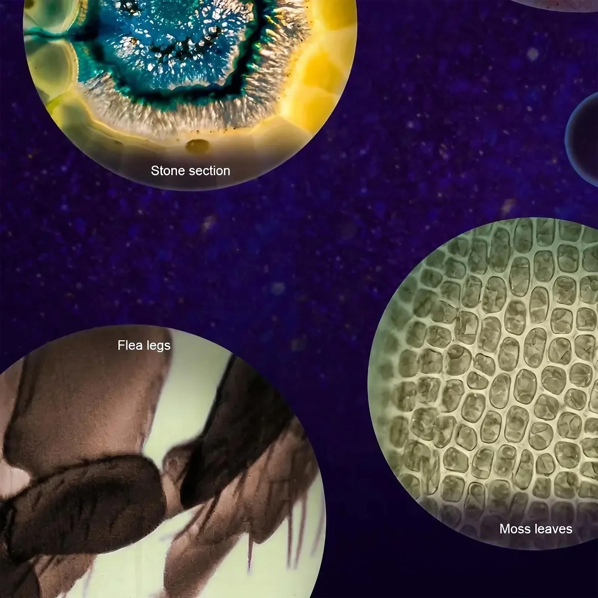 Taşınabilir El Tipi Çocuk Mikr - Science Max incelemesi ve fiyatı